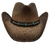 NAAB