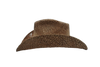 NAAB