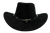 COW HAT