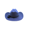 TEXANA AZUL