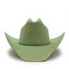 TEXANA NUMA MENTA