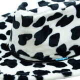 VACA